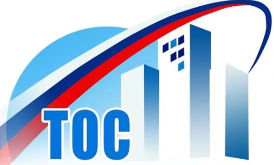 Конкурс проектов, разработанных территориальными общественными самоуправлениями  в 2024году..