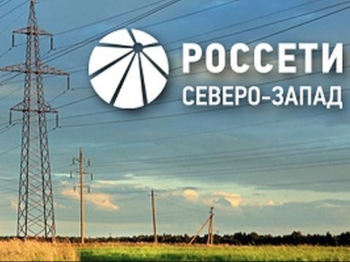 Псковский филиал ПАО «Россети Северо-Запад» продолжает работу по предотвращению диверсий на энергообъектах.
